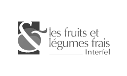 Logo Interfel